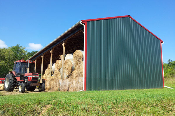 Equestrian/Agriculture